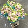 LISIANTHUS APRIKOS ALISSA PEACH